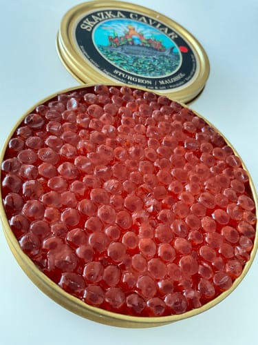 Customer photo review of "Russian Czar" Beluga Sturgeon Caviar