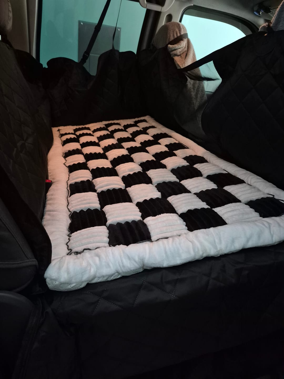 Customer photo review of Plush Backseat Dog Bed (Made For The Hard Bottom Car Seat Cover)