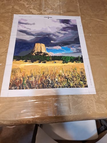 Customer photo review of Custom Paint By Numbers Kit