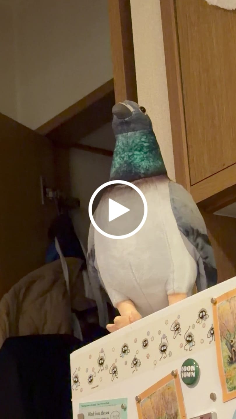 Customer video review of Common Pigeon Bird Soft Stuffed Plush Toy