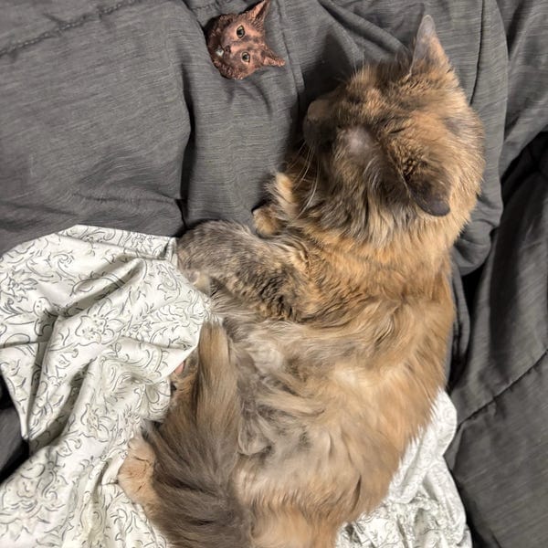 Customer photo review of Personalized Custom Pet Keychain/Magnet