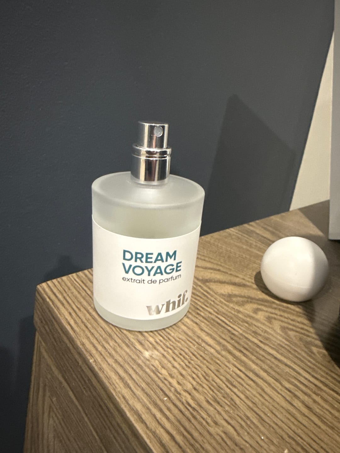 Customer photo review of Dream Voyage