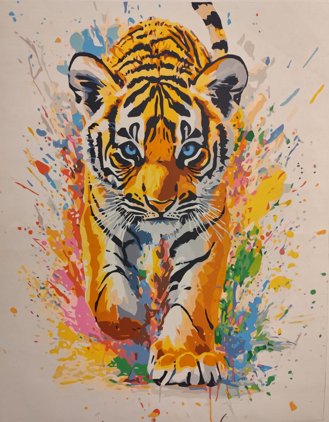 Customer photo review of Tiger Cub Splash