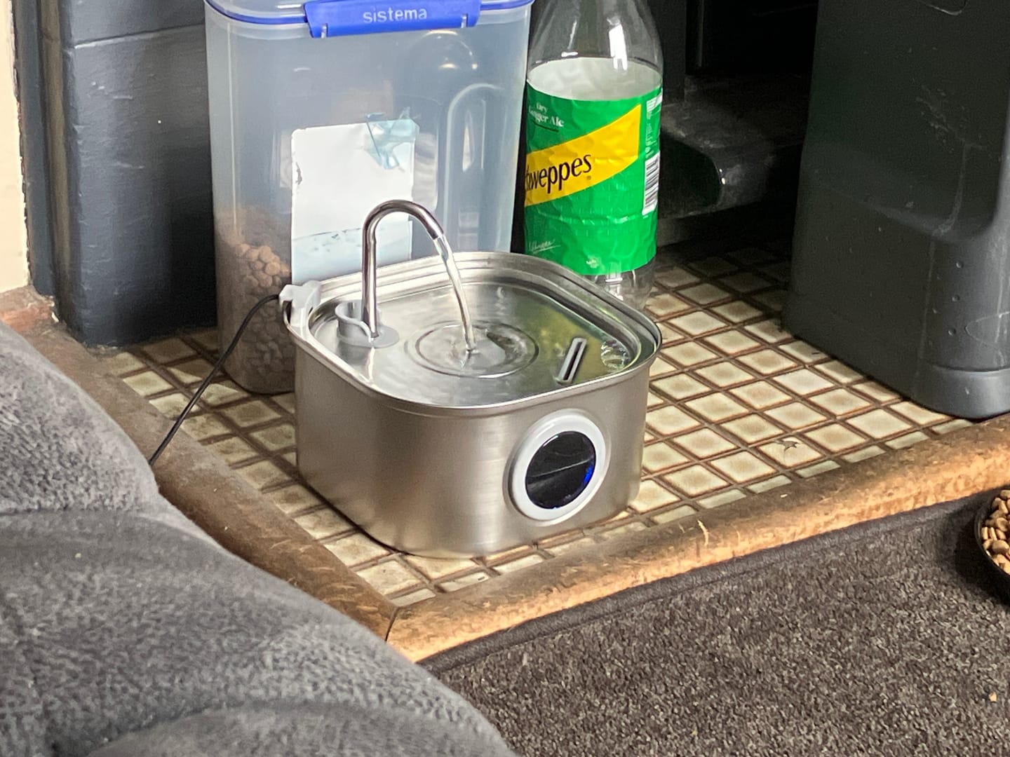 Customer photo review of Whisker Collective Drinking Fountain