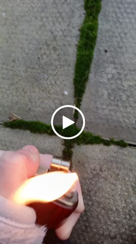 Customer video review of Hardwood Lighter (NEW)