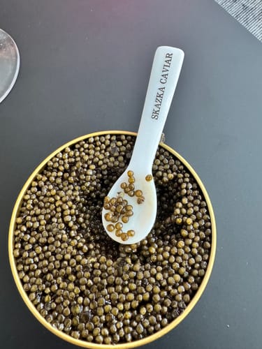Customer photo review of "Russian Czar" Beluga Sturgeon Caviar
