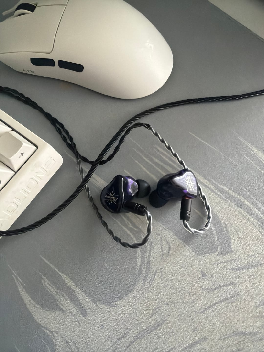 Customer photo review of Kiwi Ears Quartet IEM Kulaklık