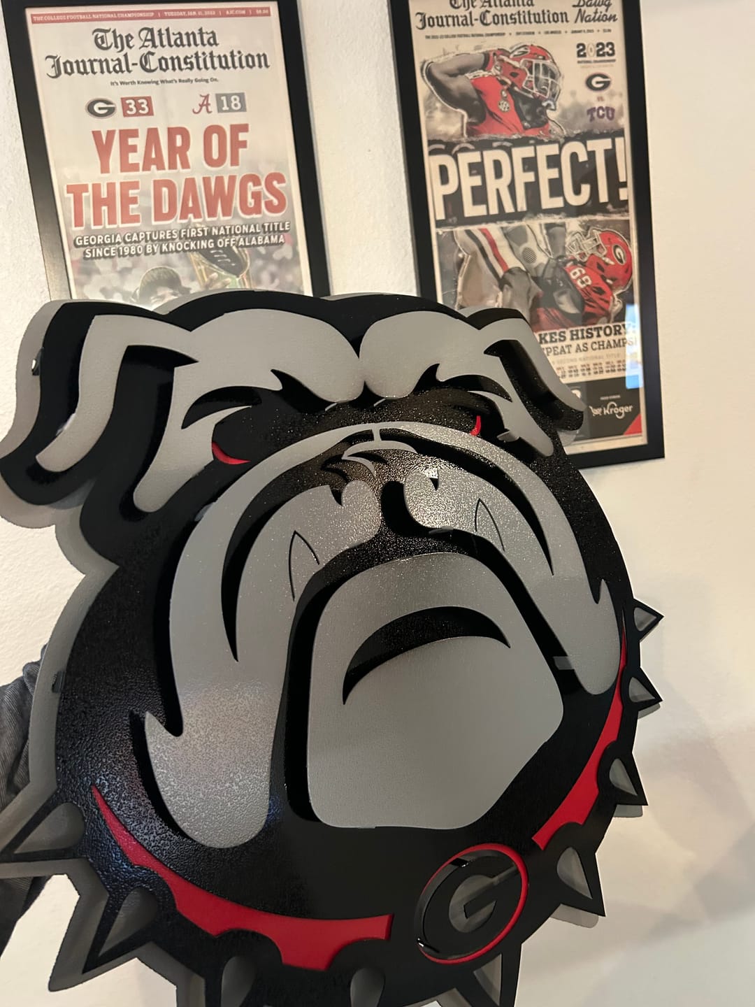 Customer photo review of Georgia Bulldogs "Uga" 3D Vintage Metal Wall Art