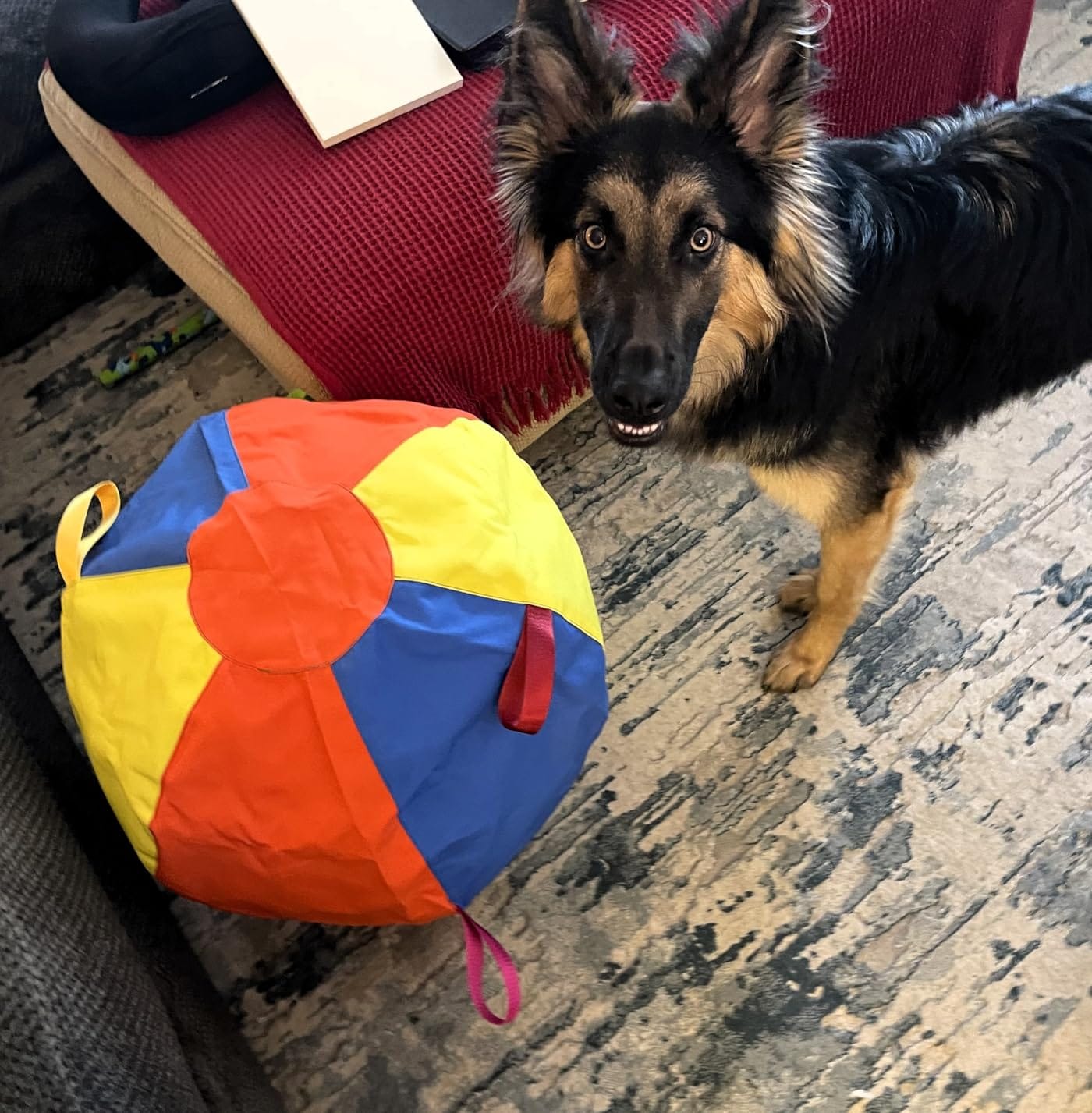 Customer photo review of Calming Jumbo Ball