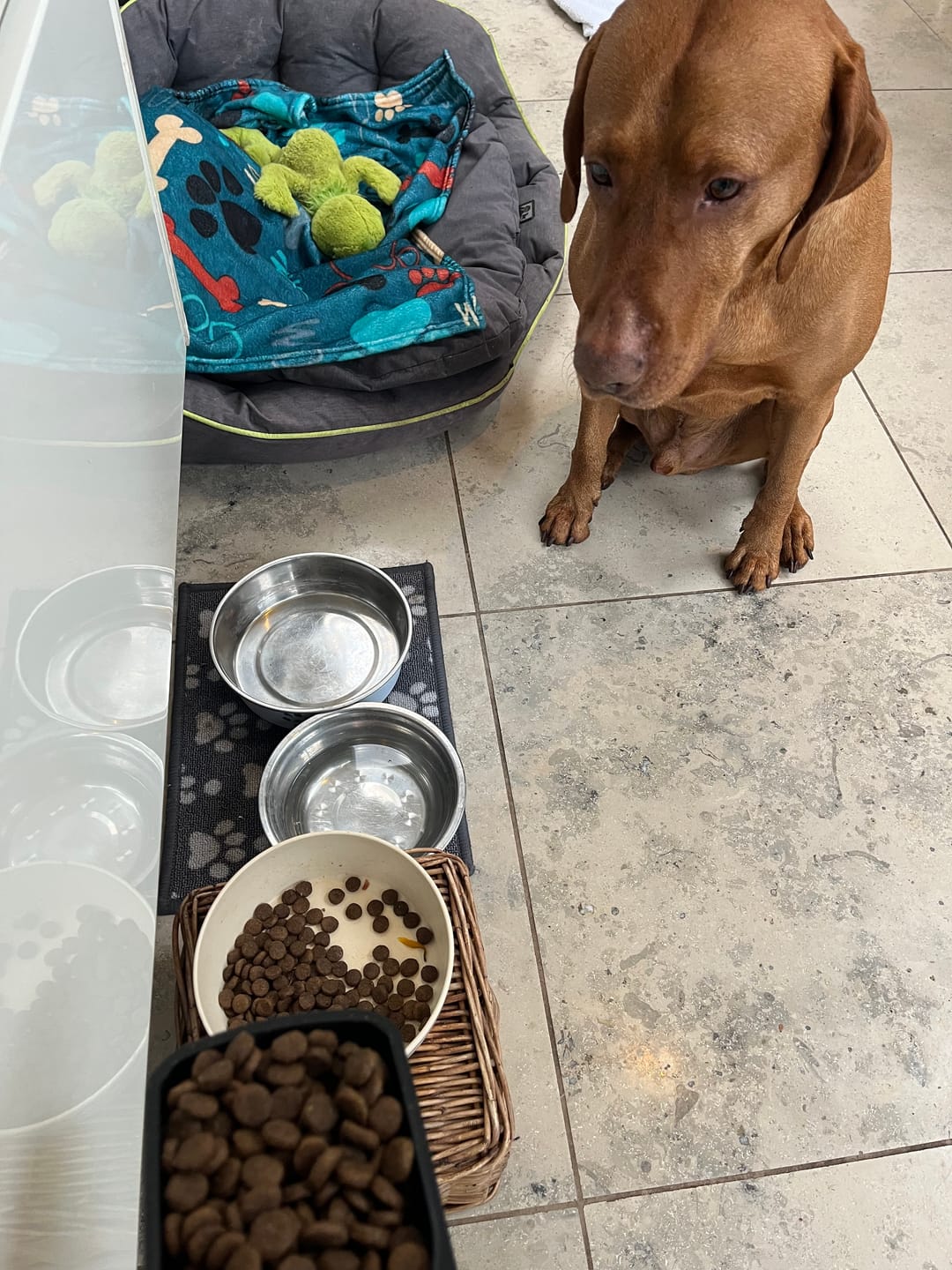 Customer photo review of English Duck Dry Food