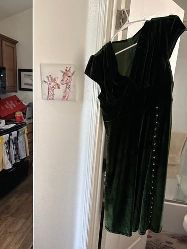 Customer review photo from Susan H.