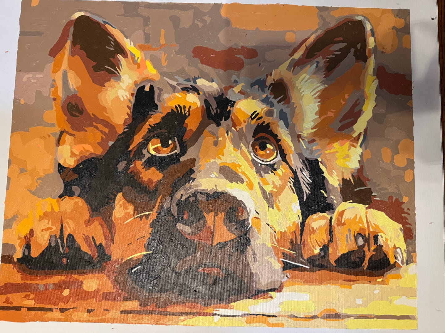 Customer photo review of Bored Shepherd