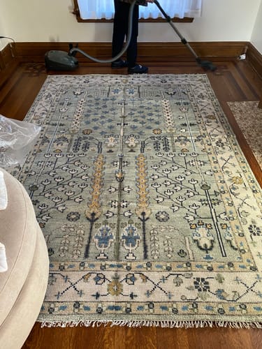 Customer vacuuming their new Moss Green and Ivory Vintage Wool Rug on a hardwood floor.