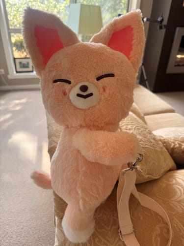 Customer photo review of SKZOO Plush Bag - celebrATE