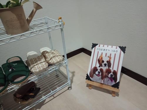 Customer photo review of Petcanva©オーダーメイド ペット似顔絵【3点セット】