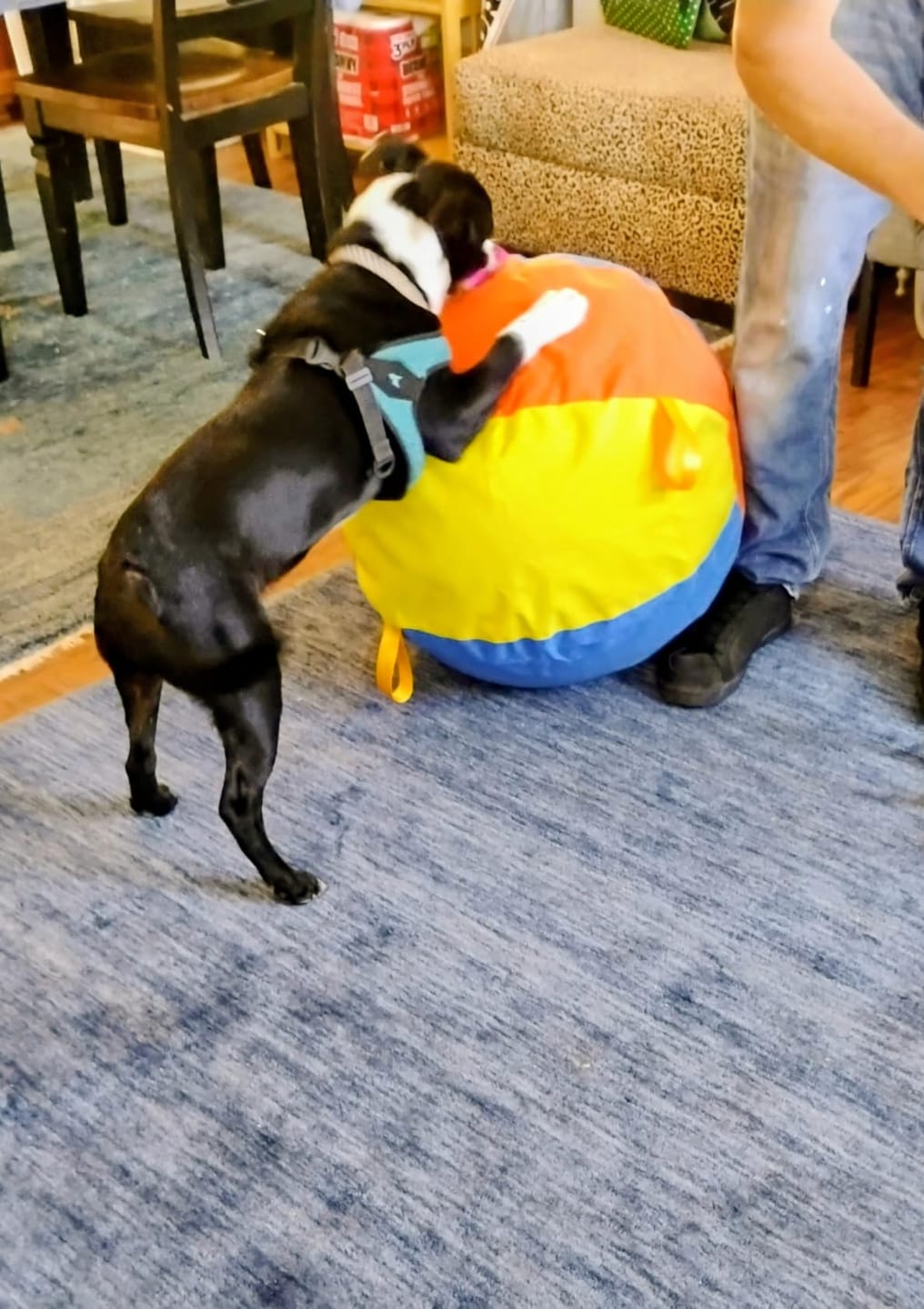Customer photo review of Calming Jumbo Ball