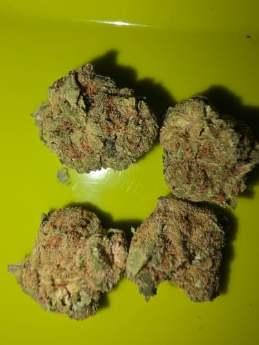 Customer photo review of Sour Jack - Exotic Smalls