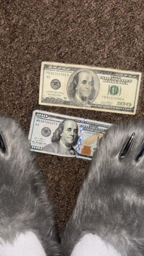 Customer photo review of Bravest Studios Bear Claw Mule Grey