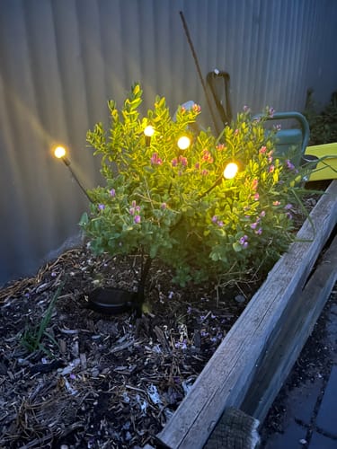 Customer photo review of GardenBrite™ Solar Firefly Lights