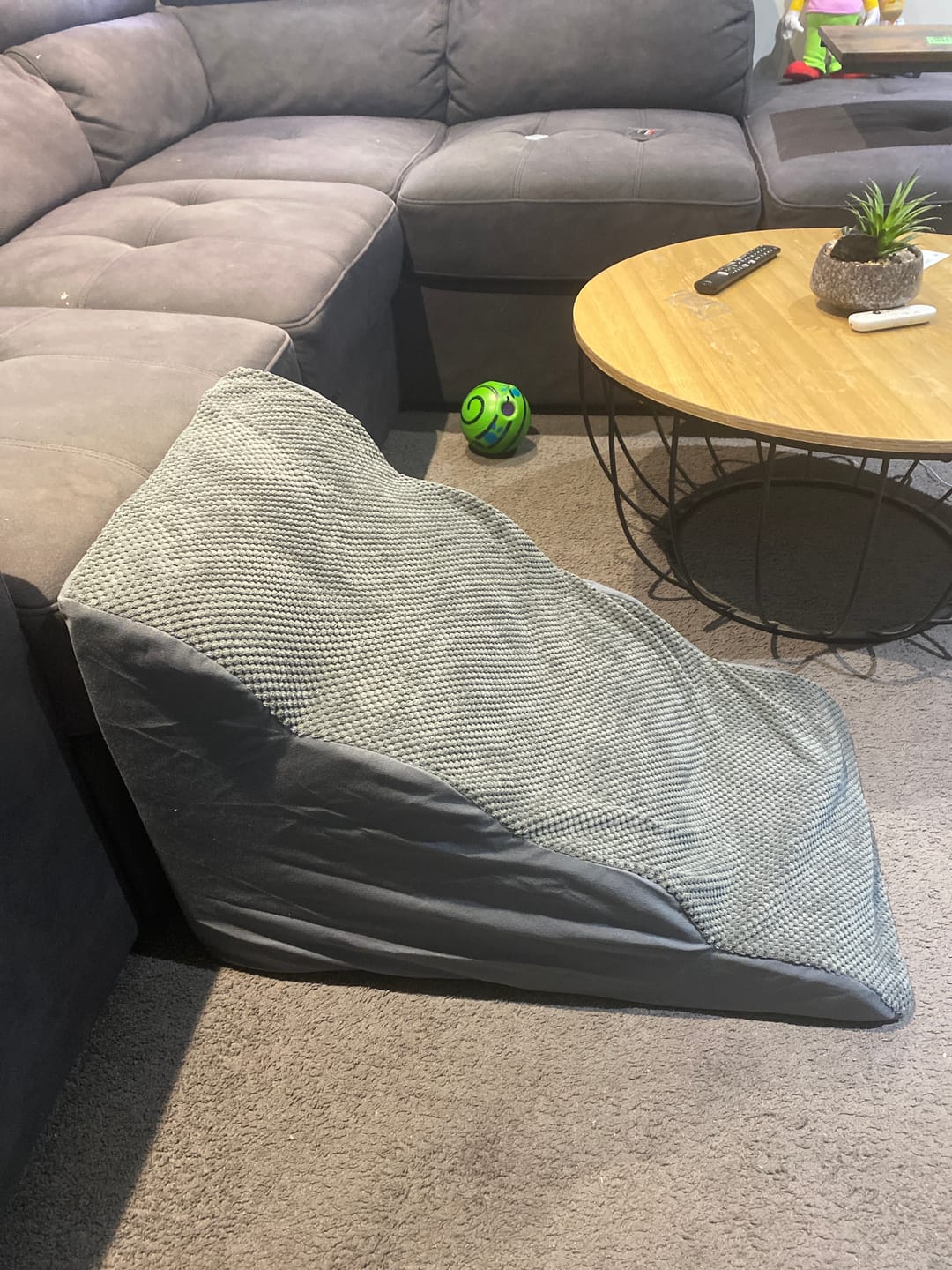 Customer photo review of Soft Foam Dog Stairs – Non-Slip Dog Steps for Beds & Couches