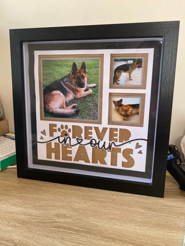 Customer photo review of Forever in My Heart Pet Memorial Picture Frame Shadow Box Project