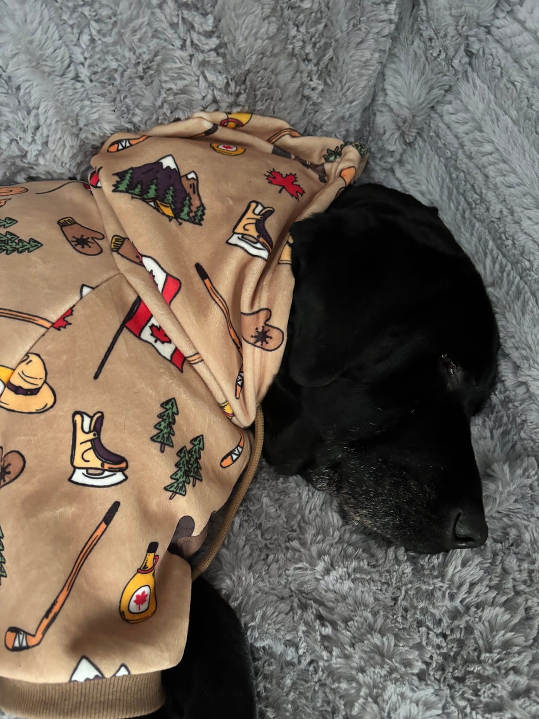 Customer photo review of Canada Dog Hoodie