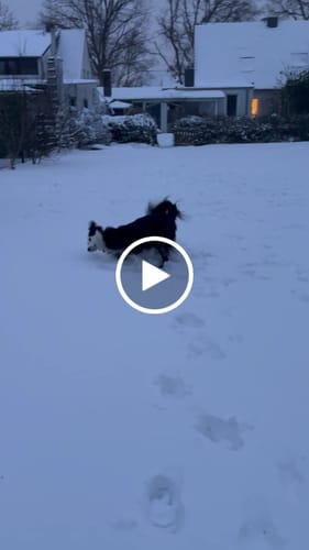 Customer video review of Relax Time