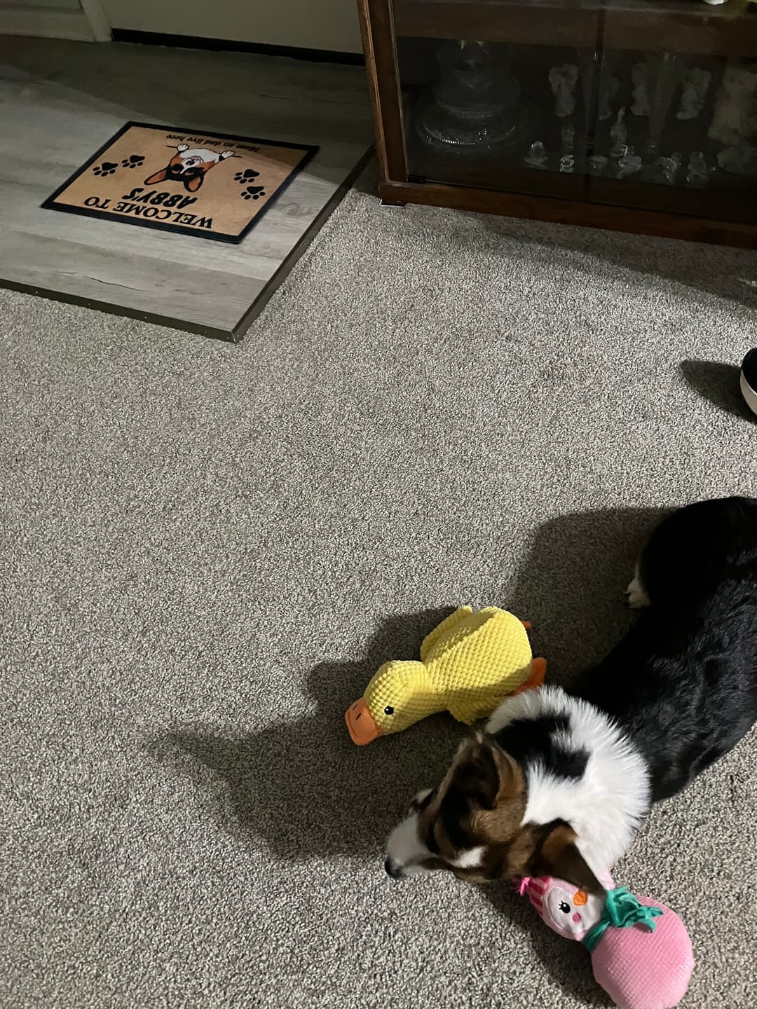 Customer photo review of [BEST SELLER] Calming Duck Dog Toy