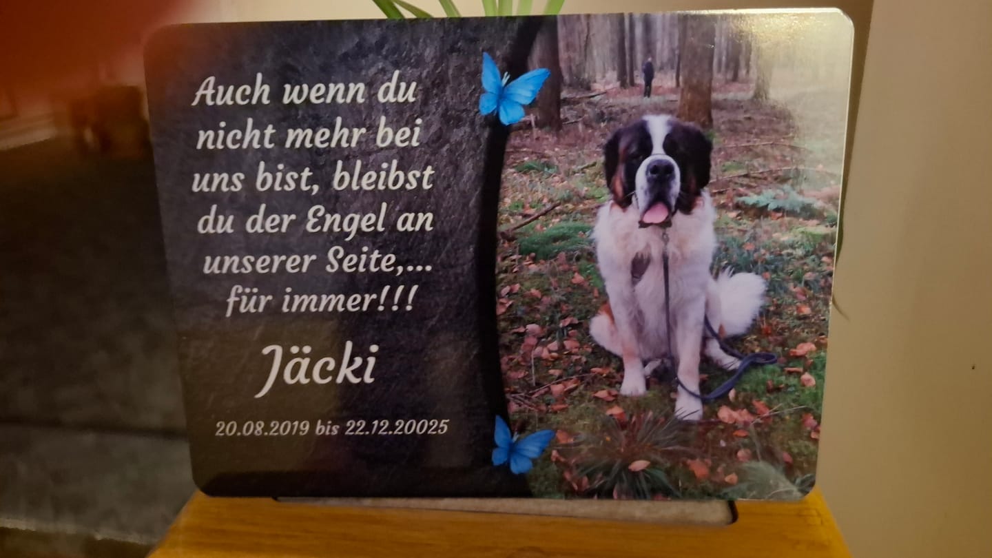 Customer photo review of Hunde Gedenktafel mit Foto & Spruch (UV- & Wetterfest)