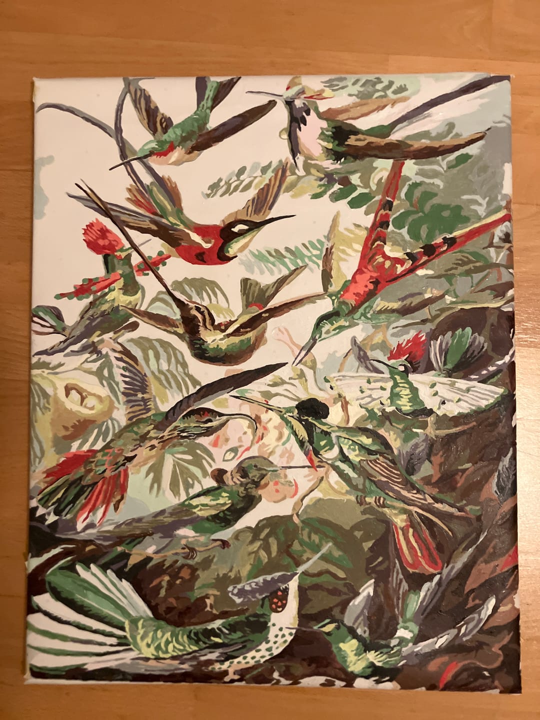 Customer photo review of Malen nach Zahlen - Trochilidae–Kolibris von Ernst Haeckel
