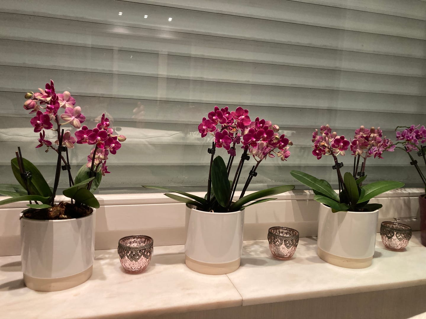 Customer photo review of Table Dance Chamonix mit weinroten Blüten und 2 Rispen