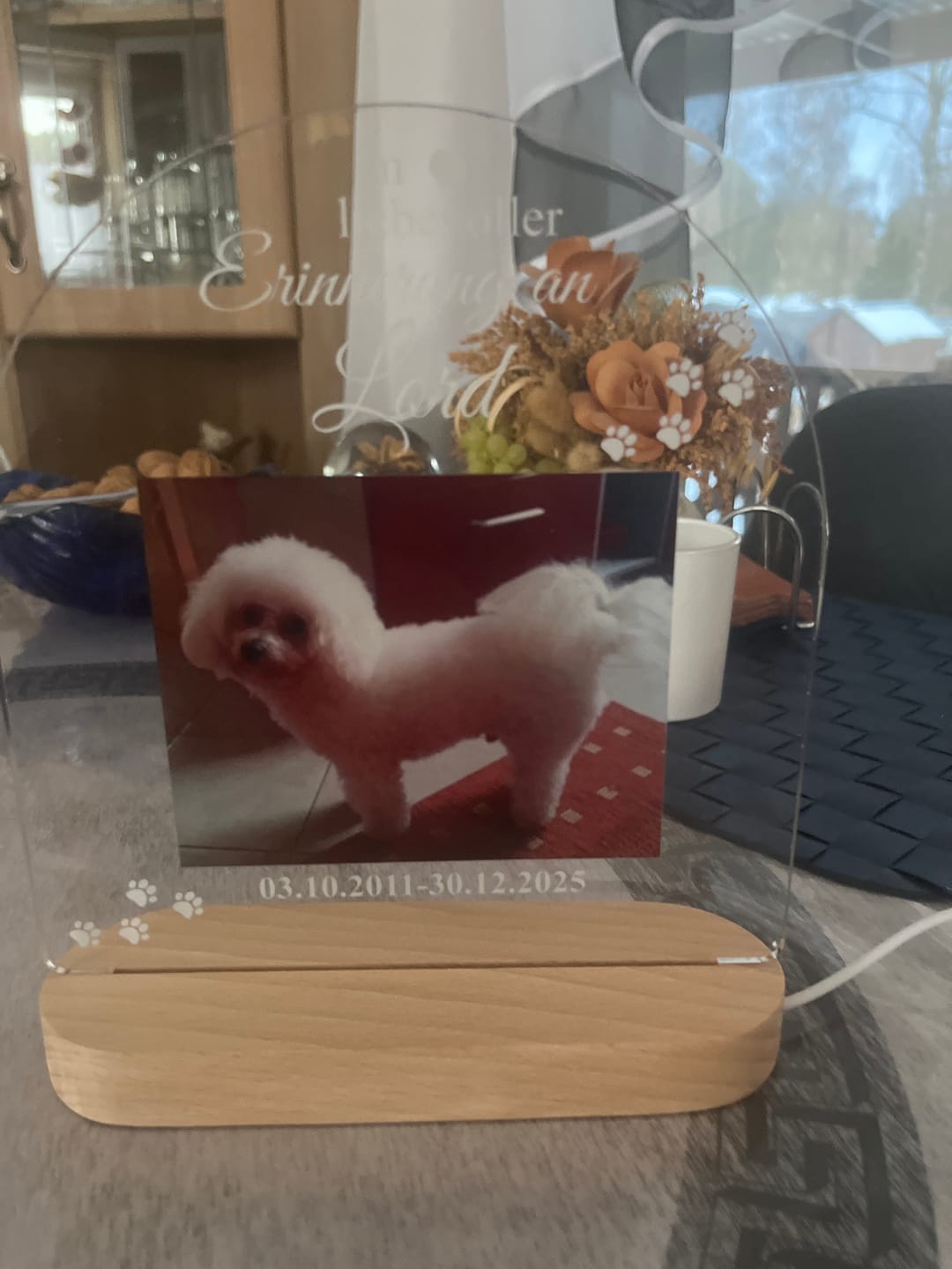 Customer photo review of Zur liebevollen Erinnerung – LED-Lampe für Hund/Katze
