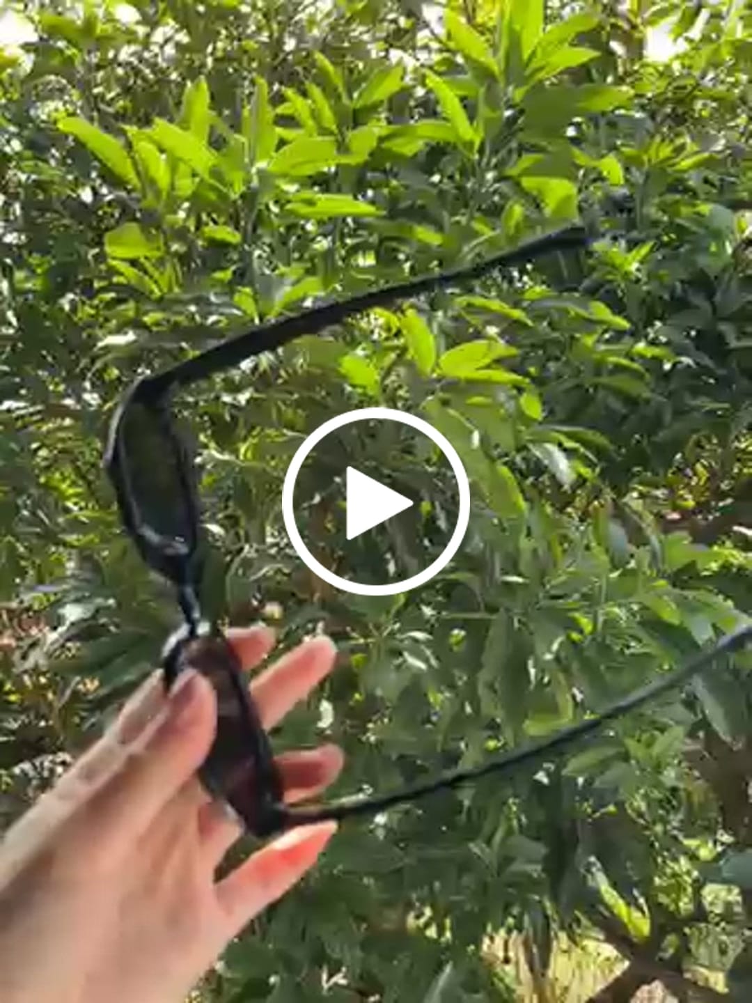 Customer video review of Kyoto Oval Framed Sunglasses