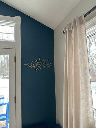 Customer photo review of Branch Harmony Metal Wall Coat Rack