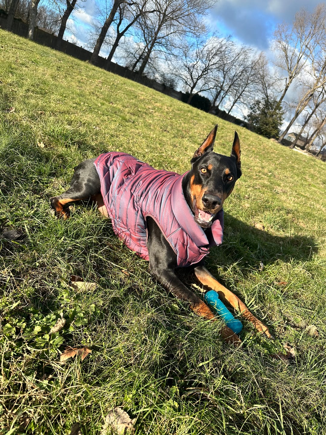 Customer photo review of WarmShield Water-Resistant Jacket - Cosmic