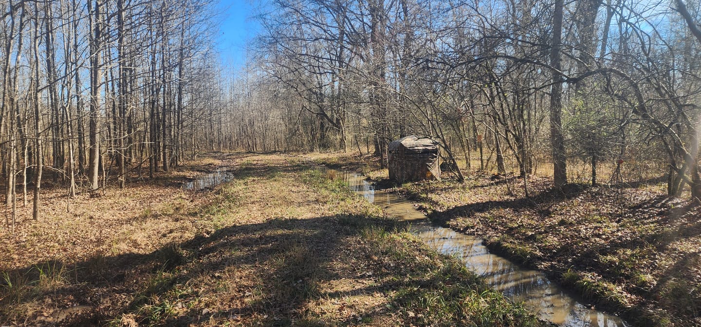 Customer photo review of Vis Series See Through Hunting Blind, Pop Up Ground Deer Blind