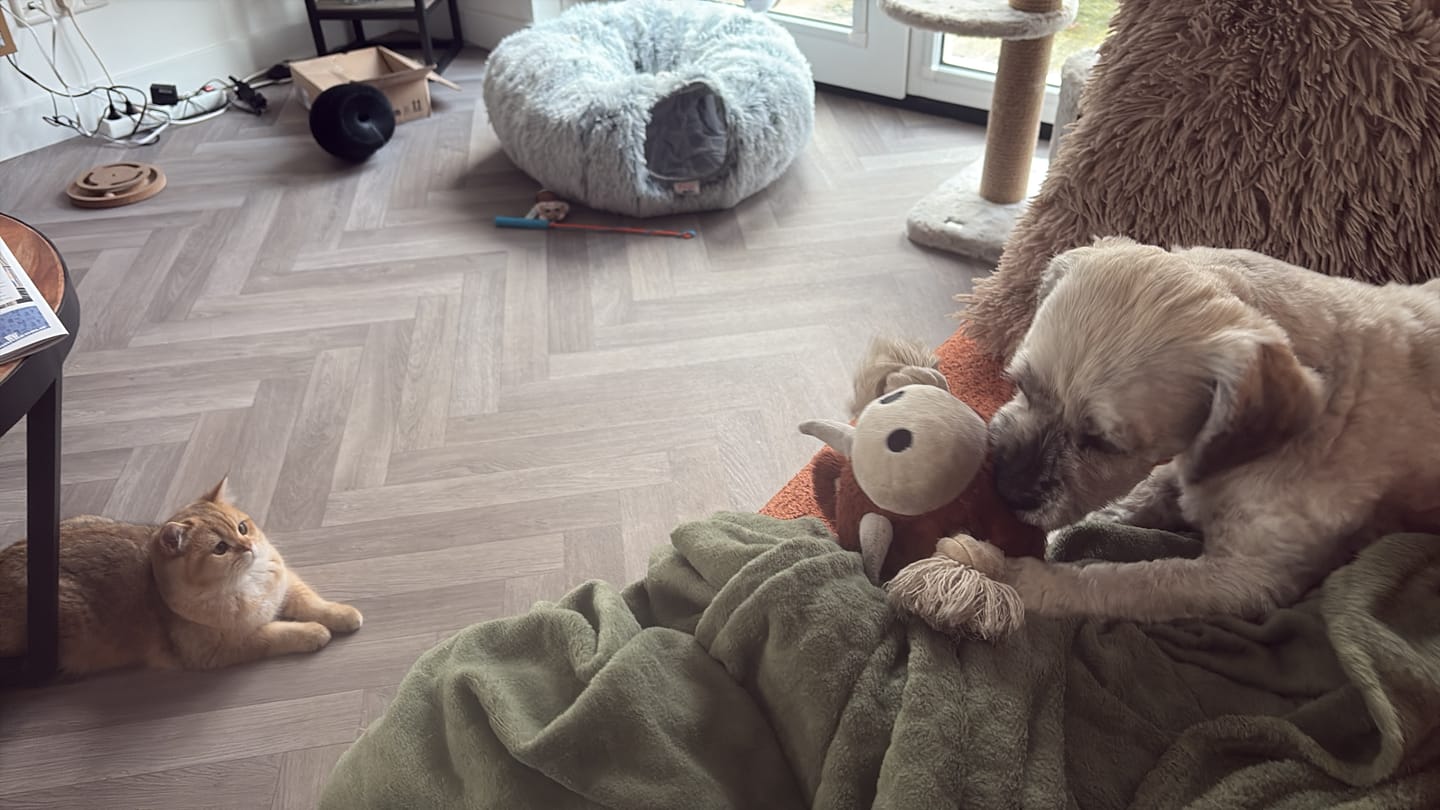 Customer photo review of Knuffel mij als je me mist - Gepersonaliseerde kussen