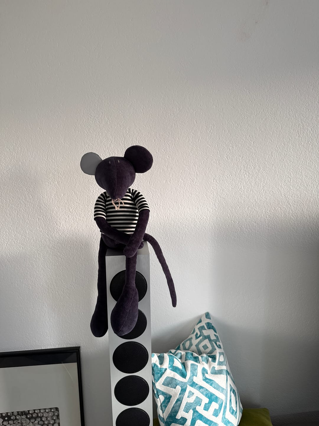 Customer photo review of HECTOR LE RAT - L
