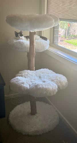 Customer photo review of Michu Fluffy Blossom Real Wooden Cat Tree - Premium Quality & Stylish Cat Furniture - Extra Large