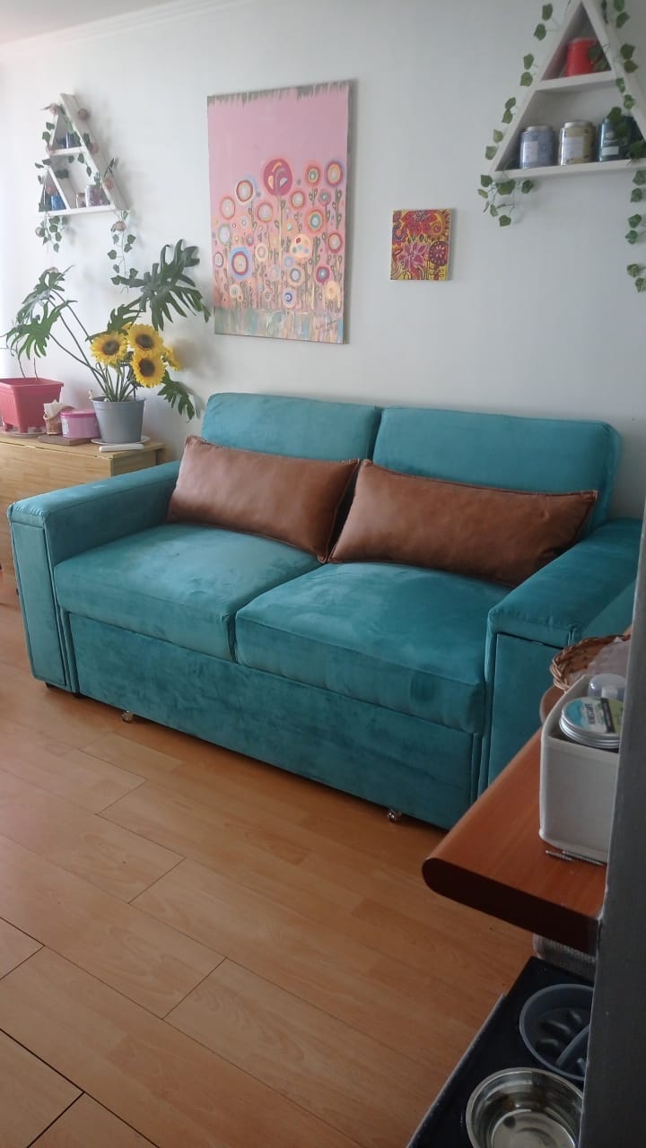Customer photo review of Sofá cama Vienna