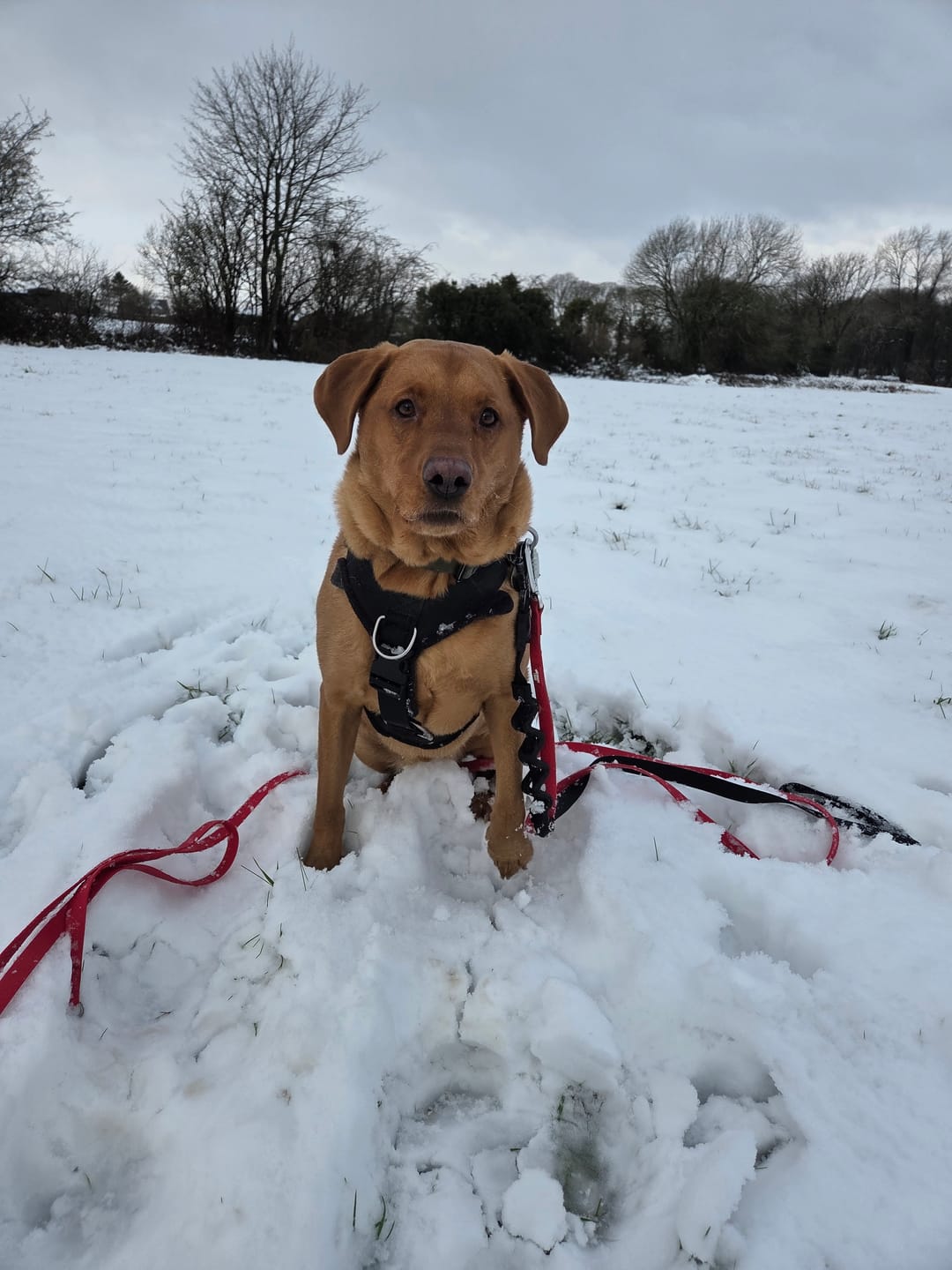 Customer photo review of Tidal Waterproof Longline
