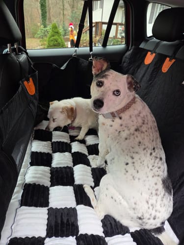 Customer photo review of RuffRover 2.0™ - Hard Bottom Back Seat Extender + (FREE Dog Bed)