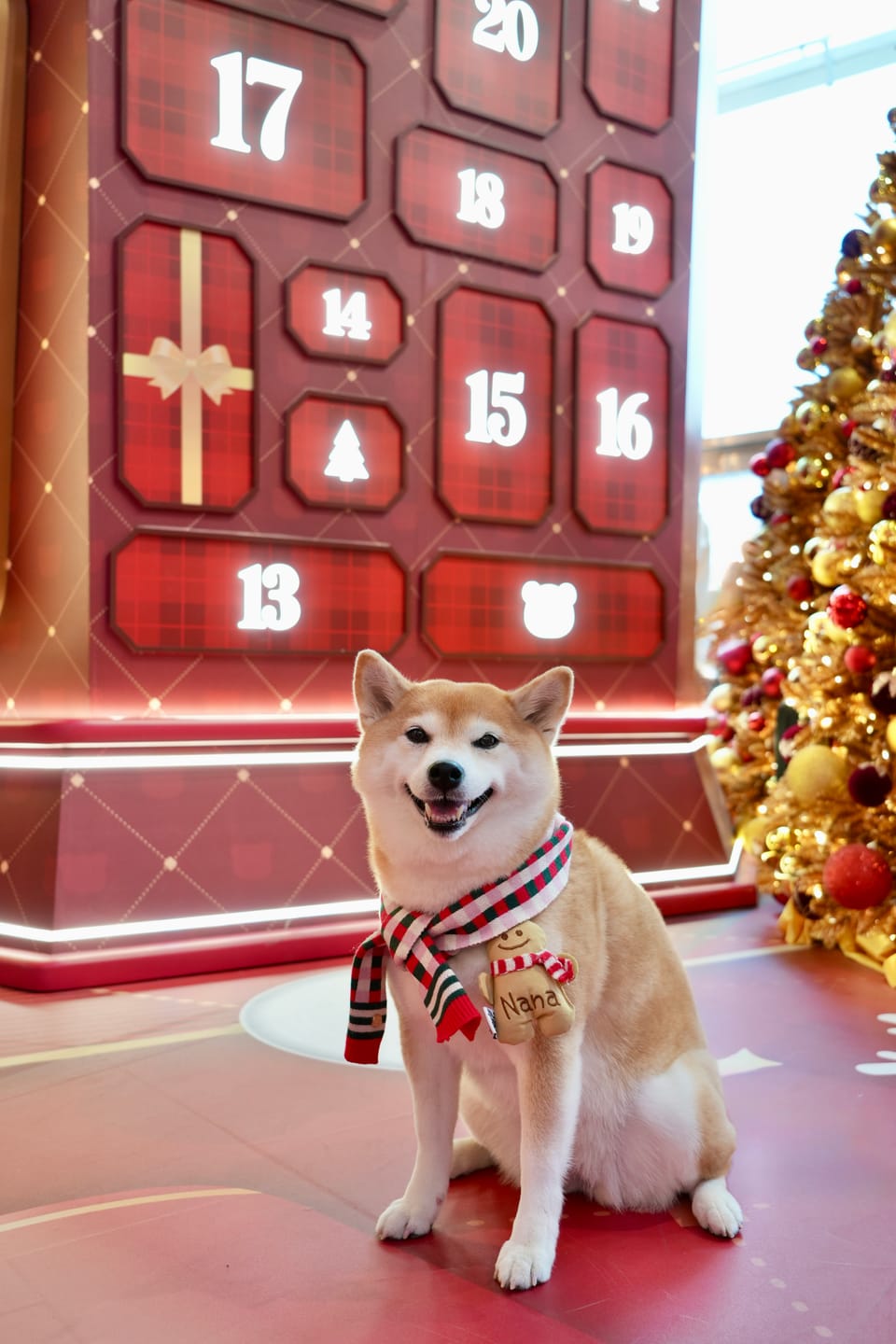 Customer photo review of MERRY & BRIGHT CHECKERED SCARF