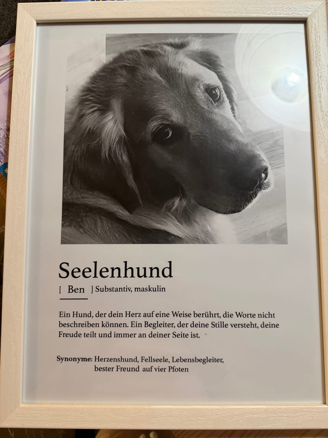 Customer photo review of Definition Seelentier - Individuelles Poster