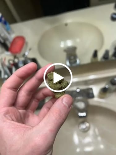 Customer video review of Purple Push Pop -THCa Flower