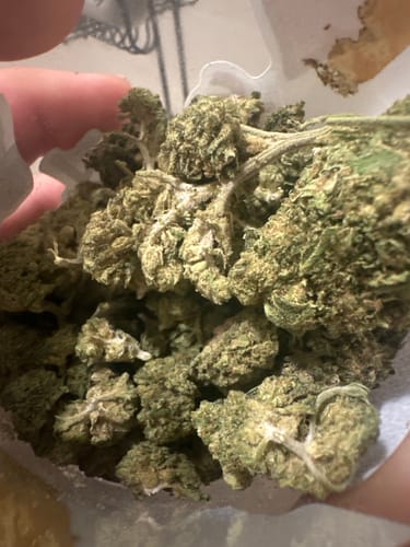Customer photo review of Bulk THCA Flower Pounds
