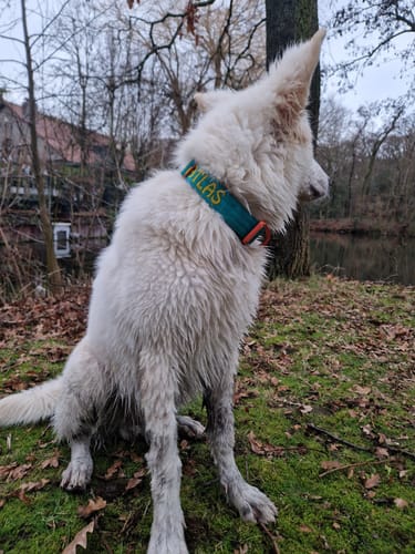 Customer photo review of Personalisation Fee €8.99