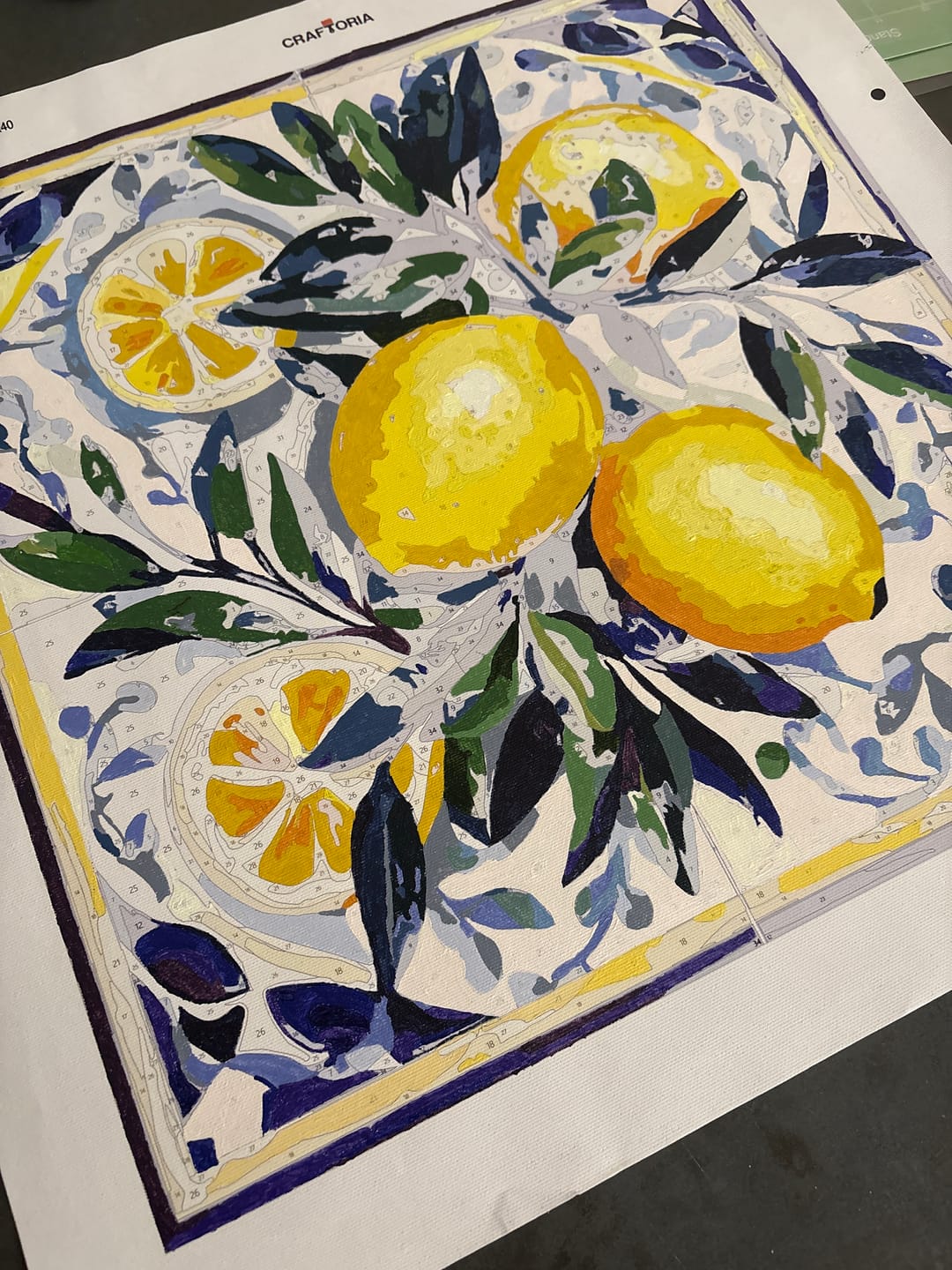 Customer photo review of Citrus Geometrics
