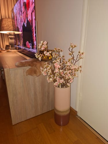 Recensent toont de realistische Zijden Bloesem in een hoge vaas in de woonkamer.