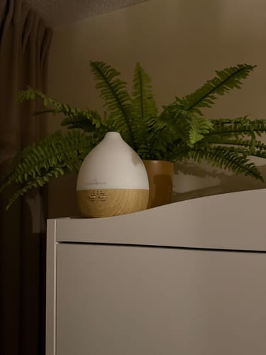 Recensent toont de Nimbus 2.0 diffuser met lichte houtlook op een kast in een sfeervol verlichte kamer.